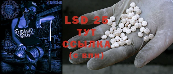 PSILOCYBIN Гусь-Хрустальный