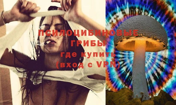соль ск Дмитровск